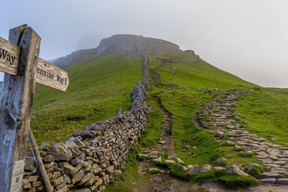 Tallents Solicitors will be attempting the Yorkshire Three Peaks Challenge in aid of the Rosie May Foundation